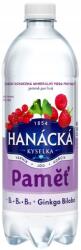 Hanácká Kyselka Funkcionális ízesített ásványvíz a memóriának 0, 7l