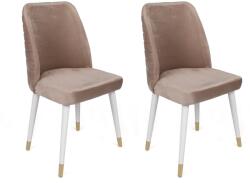 ASIR GROUP Étkezőszék Szett 2 db Hugo-404 V2