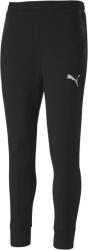 PUMA Team Final 21 Casuals Polo (65649403)