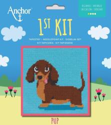 Anchor 1st Kit Cross Stitch Комплект за бродерия (3690000-20050)
