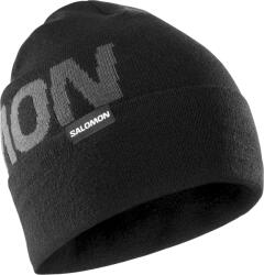 Salomon Hermitage Beanie Цвят: маслинен