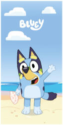 Mister Licence Bluey Ocean fürdőlepedő, strandtörölköző 70x140cm (Fast Dry) (FML358923)