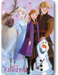 Mister Licence Disney Jégvarázs Winter Friends polár takaró 100x140cm (FML367239)