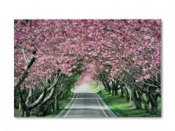  60 mini LEDes világító falikép virágalagút 40x30cm (CQ749)