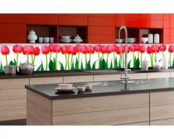 DIMEX ART Fototapet pentru bucătărie - lalele 350 x 60 cm - dimex-tapet - 106,58 RON