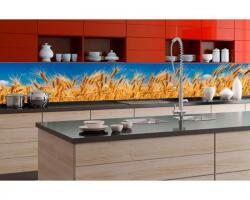 DIMEX ART Fototapet pentru bucătărie - câmp de grâu 350 x 60 cm