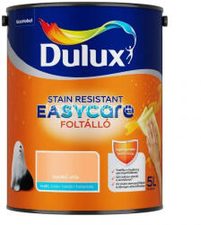 Dulux EASYCARE holdkő oltár 5L