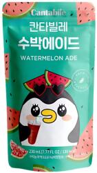  Cantabile Görögdinnye Ade Kor 230ml