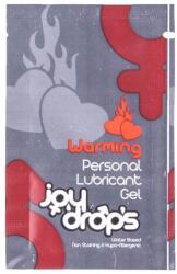JOYDIVISION Warming Personal Lubricant Gel - 5ml sachet (ONLY SAMPLE/ CSAK MINTA) - tooyz
