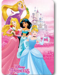  Disney Hercegnők Castle polár takaró 100x140cm (FML349426) - szukits