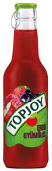 Topjoy erdei gyümölcs ízű üveges üdítőital - 250ml