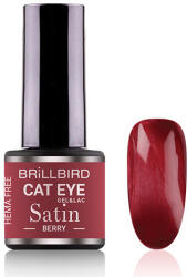 BrillBird TPO FREE HEMA Free CAT EYE SATIN - Berry 4ml