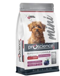 Proscience Mini Puppy Dog Lamb & Blueberry 2kg - dogshop