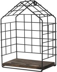 AG Fali Polc Ranunculus