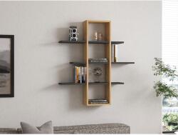 AG Fali Polc Ardo Sapphire, Antracit