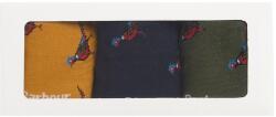 Barbour Pheasant Socks Gift Box - Winter Mix