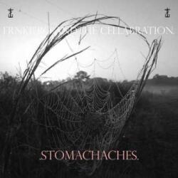 Staple Records LP Frnkiero Andthe Cellabration. : . Stomachaches