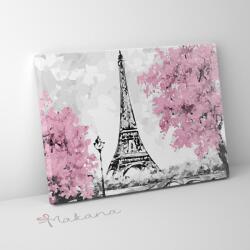 Makana Eiffel torony virágzásban - Számfestő készlet, kerettel (40x50 cm)