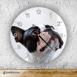 Time4Gift Kutyus kör alakú falióra