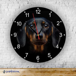 Time4Gift Tacskó kör alakú falióra