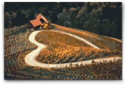  Festés számok szerint - Szőlőskert az út mellett szív alakban, Maribor - Szlovénia Méret: 40x60cm, Keretezés: Kartonlemezen