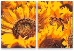  Festés számok szerint - Napraforgók (2 darab vászonkép) Méret: 30x40cm (2db), Keretezés: Kartonlemezen