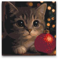  Festés számok szerint - Karácsonyi cica Méret: 50x50cm, Keretezés: Keret nélkül (csak a vászon)