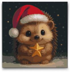  Festés számok szerint - Karácsonyi sündisznó Méret: 50x50cm, Keretezés: Műanyagtáblával