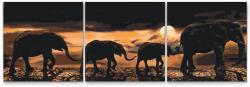  Festés számok szerint - Elefántcsorda a Szavannán (3 darab vászonkép) Méret: 50x50cm (3db), Keretezés: Műanyagtáblával