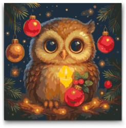  Festés számok szerint - Karácsonyi bagoly Méret: 50x50cm, Keretezés: Keret nélkül (csak a vászon)