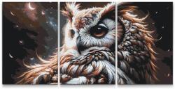  Festés számok szerint - Bagoly és a hold (3 darab vászonkép) Méret: 40x60cm (3db), Keretezés: Műanyagtáblával
