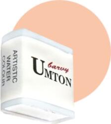 UMTON BARVY 86.2190 Vopsea acuarela 2190 Flesh Colour 2, 6 ml 1 buc (86.2190)