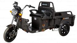 Evotools Triciclu Electric Cargo TRCC800 - 800W, Autonomie 45 km, viteza maxima de 25 km/h, conform reglementarilor UE, fara permis (682926)