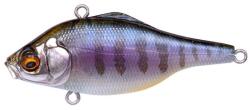 Megabass VIBRATION-X SMATRA RATTLE IN 64.5mm 14gr GILLKKO (MB531507) - plazaweb
