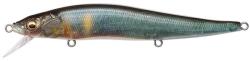 Megabass VISION ONETEN 110.5mm 14gr FA KISYU AYU (MB498404) - plazaweb