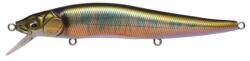 Megabass VISION ONETEN 110.5mm 14gr WAGIN OIKAWA (MB258886) - plazaweb