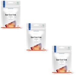 Nutriversum - VITA - BERBERINE CAPS 3x60 caps