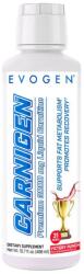 Evogen Nutrition Carnigen Liquid, Victory Punch - 496 ml