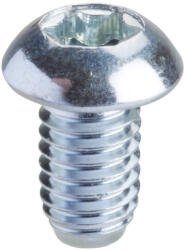 Schneider Electric Spacial SM - NSYSPM6 -Torx screw T30 (M6x10) (NSYSPM6)