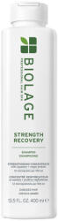 Matrix Strength Recovery 400 ml