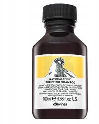 Davines Natural Tech Purifying Shampoo korpásodás elleni tisztító sampon 100 ml (8004608236597)