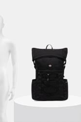 Dickies Раница Dickies (DK0A87MX)