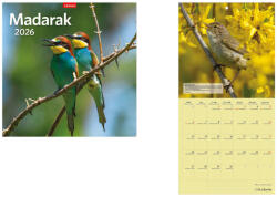 TopTimer Falinaptár 2026, T098 MADARAK (26T9800-18A)