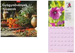 TopTimer Falinaptár 2026, T098 GYÓGYNÖVÉNYEK, FŰSZEREK (26T9800-16A)