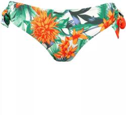 Barts Ruruthu Bikini Briefs D