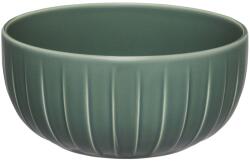 Ambition Bol mare 20cm, verde, Ligne (75027) Castron