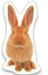 Max-Fashion Kft Nyuszis formapárna, díszpárna 22x36 cm (CBX536364)