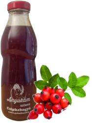 MK Bea Kézműves csipkebogyó gyümölcsszörp 500 ml