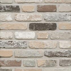 Terca Caramida plina Terca Rustica Oud Leerne 215x102x65 mm (Terca-177115)