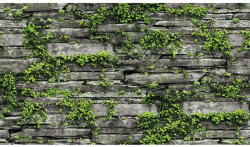 SH&D NATURAL 87029-1 vinyl tapéta